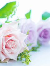 ���Ɏ���