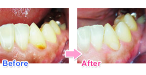 ���������̎���