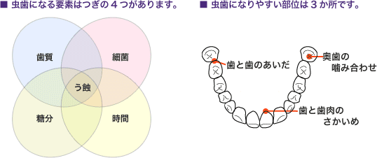 �����̗v�f�Ɖӏ�